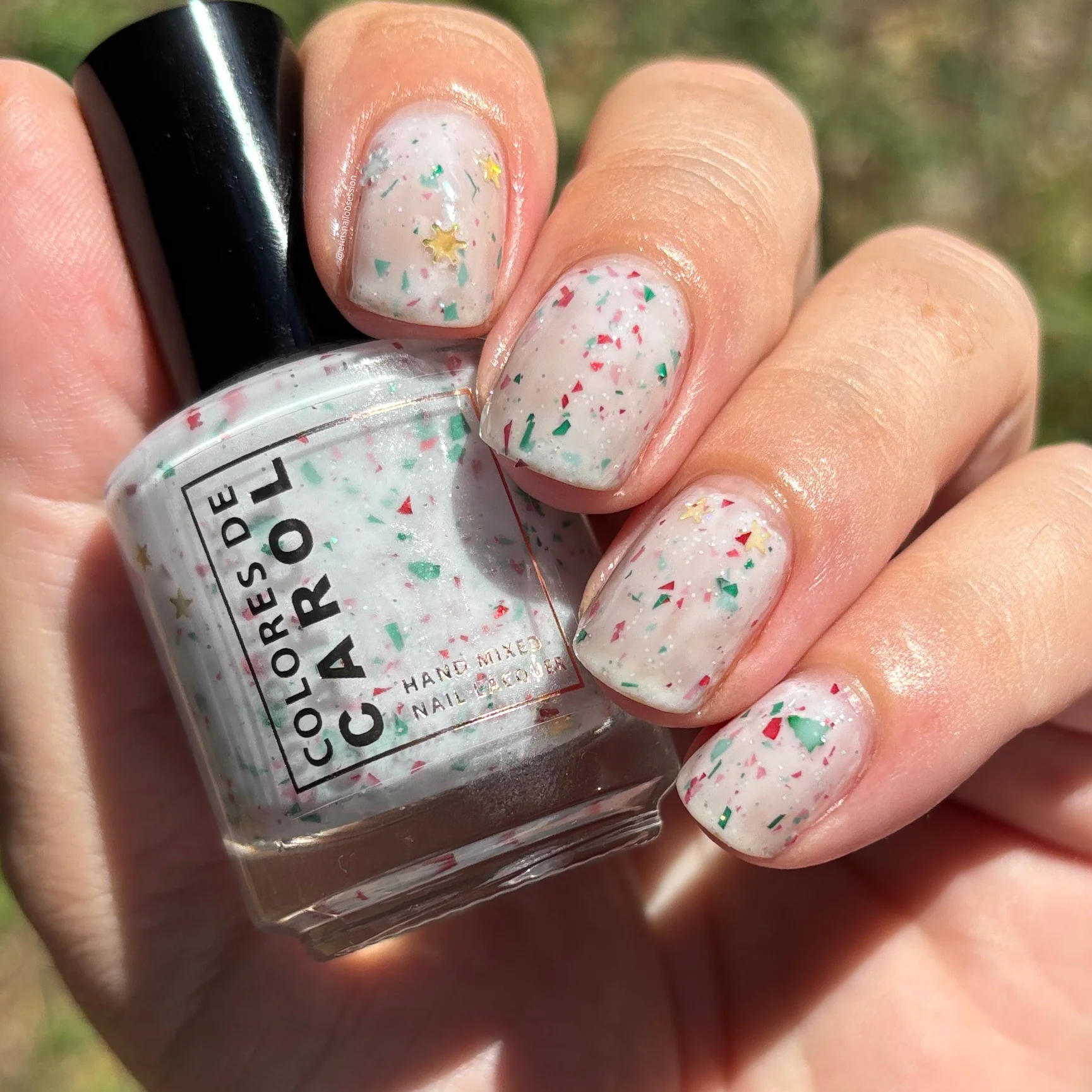 Colores de Carol: Holiday Duo "Sleigh What?!" and "Oh Snow, You Didn't" *OVERSTOCK* - Image 7