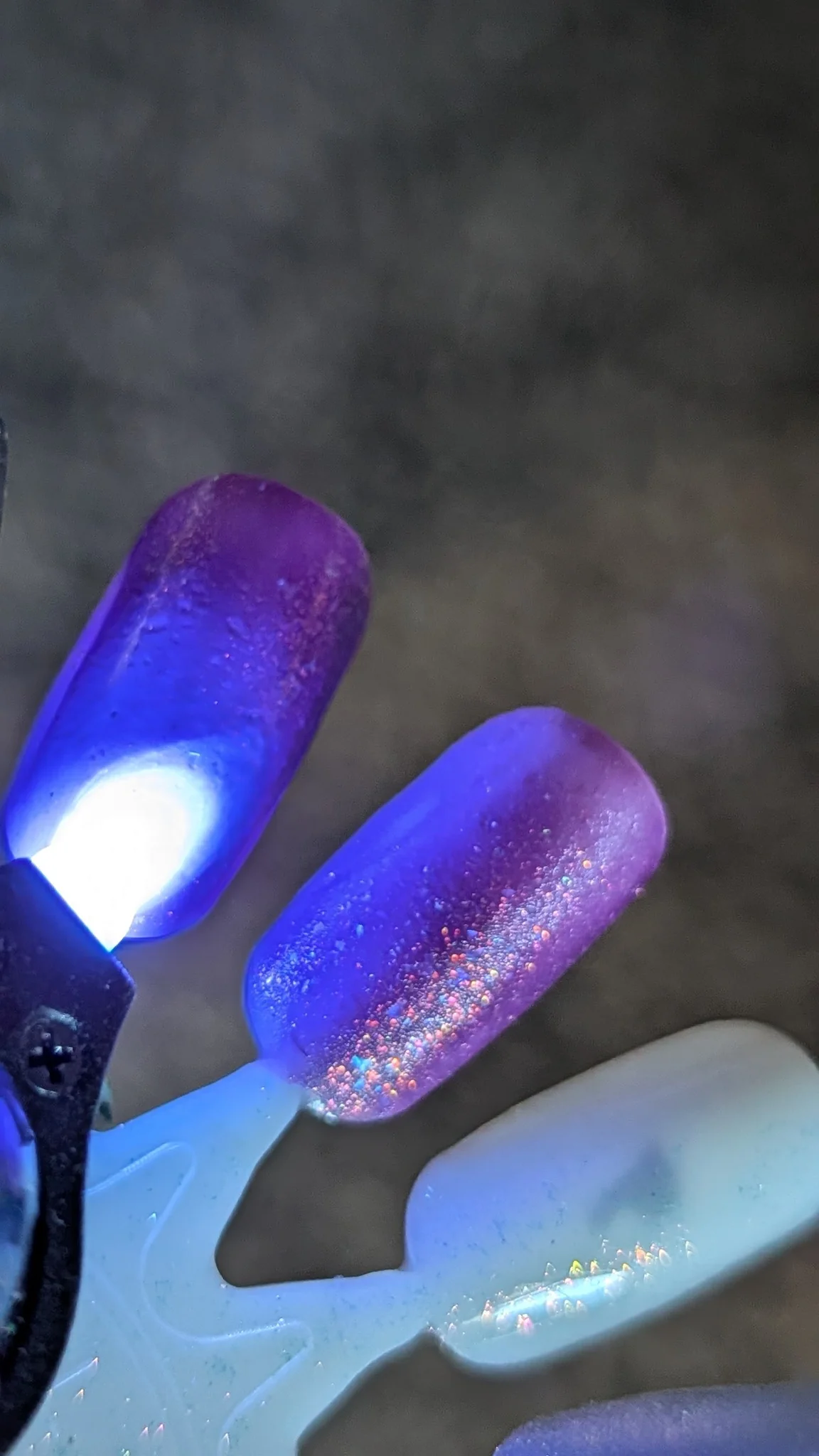 Jen & Berries: Charity "Tallawah" *OVERSTOCK* - Image 3