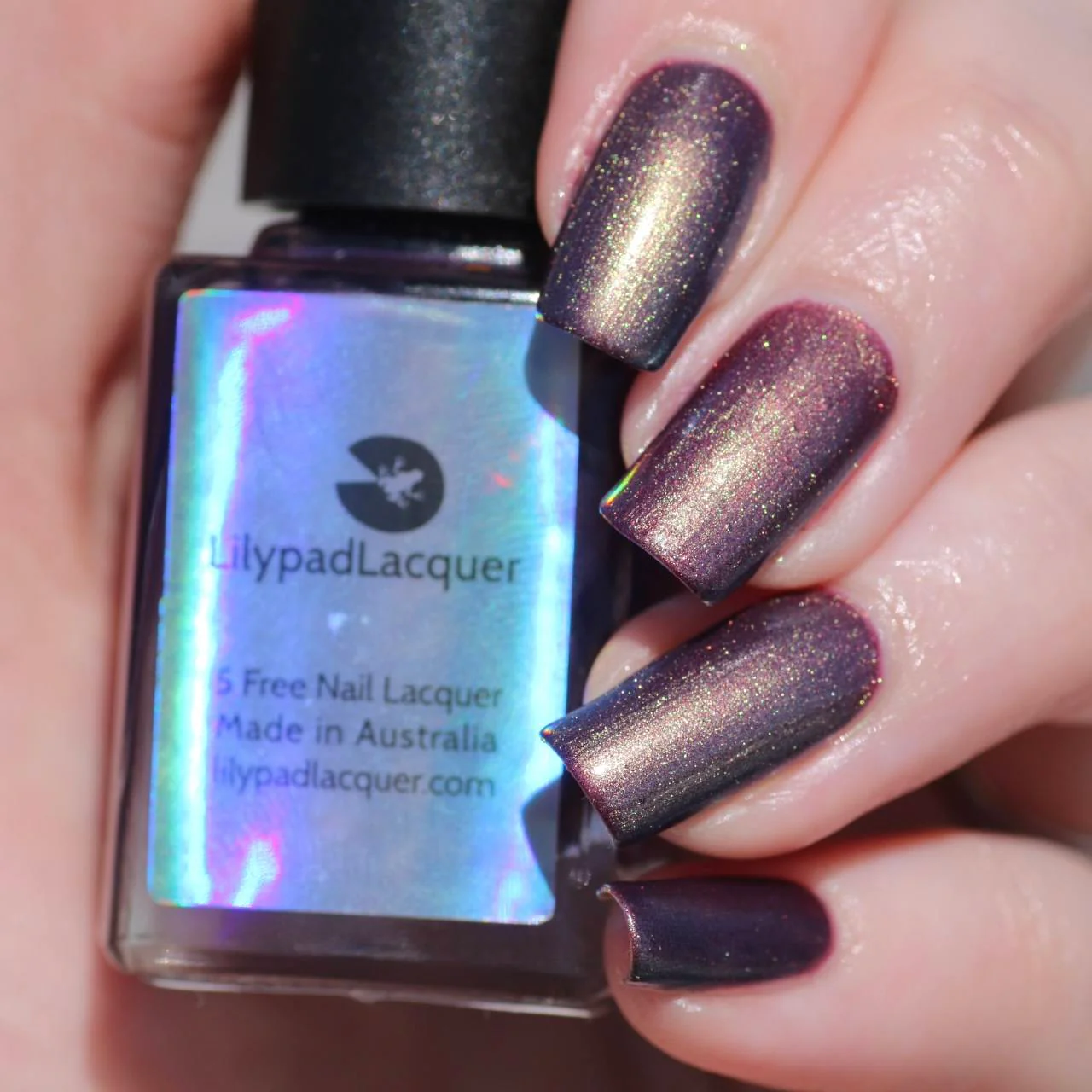 Lilypad Lacquer: "Wide Open Spaces" *CAPPED PRE-ORDER* - Image 19